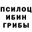 Псилоцибиновые грибы Cubensis ALFA MEGA