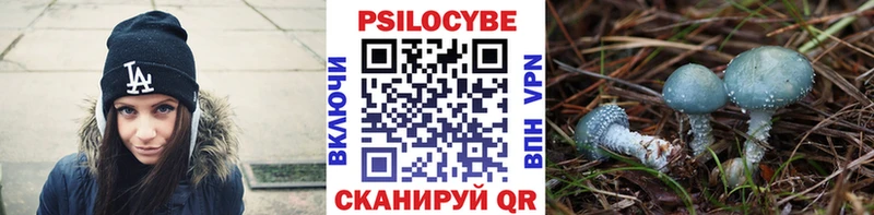 Галлюциногенные грибы MAGIC MUSHROOMS  Купить где  Анжеро-Судженск 